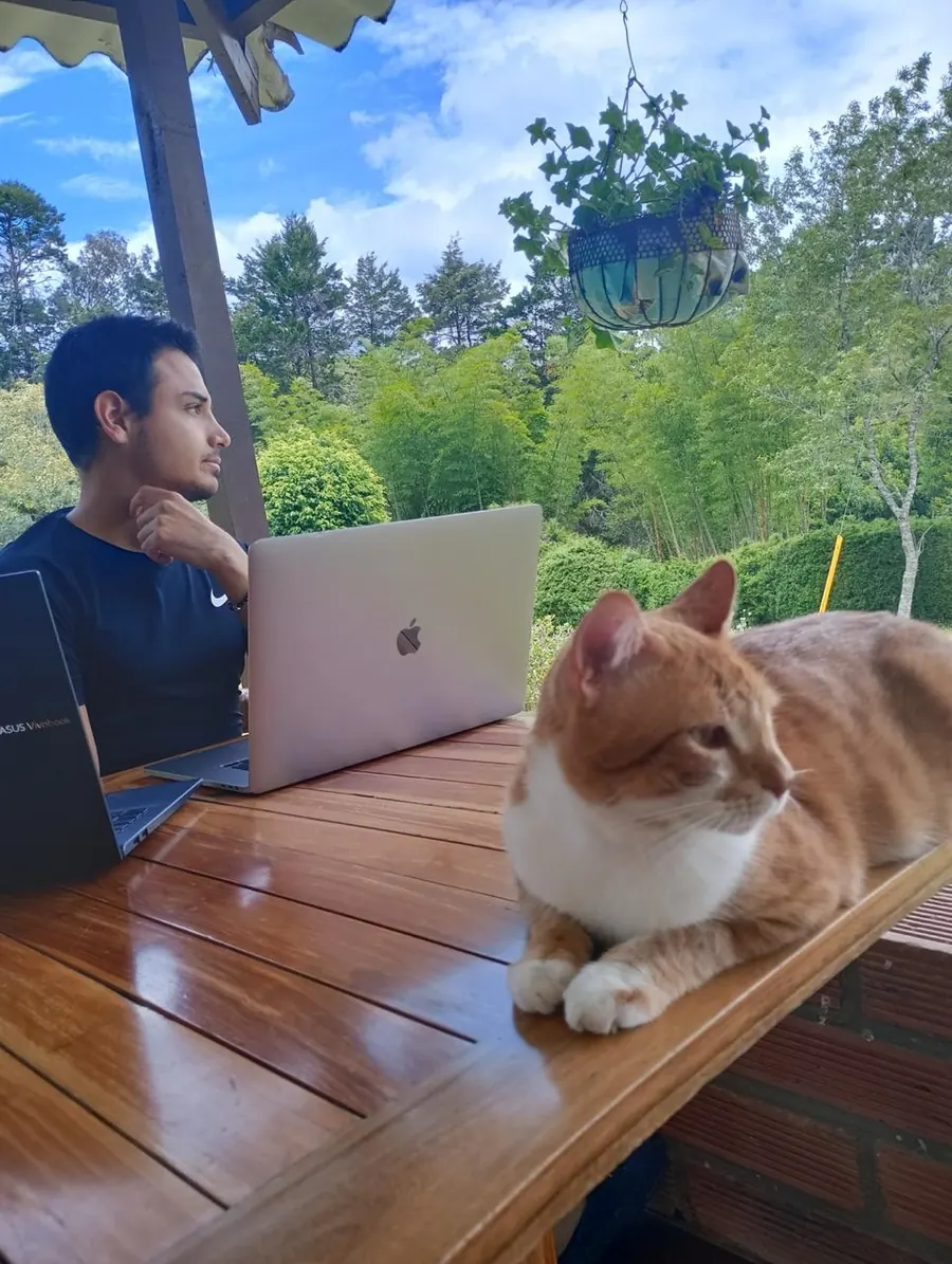 Sparky sobre la mesa del jardín mientras alguien trabaja a su lado con el portátil